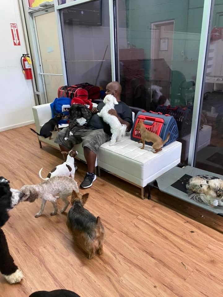 Carlos with dogs in the Paw Palace lobby
