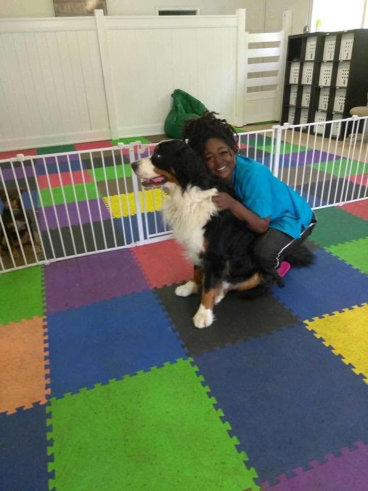 Owner with Bernese Mountain Dog at Paw Palace Atlanta