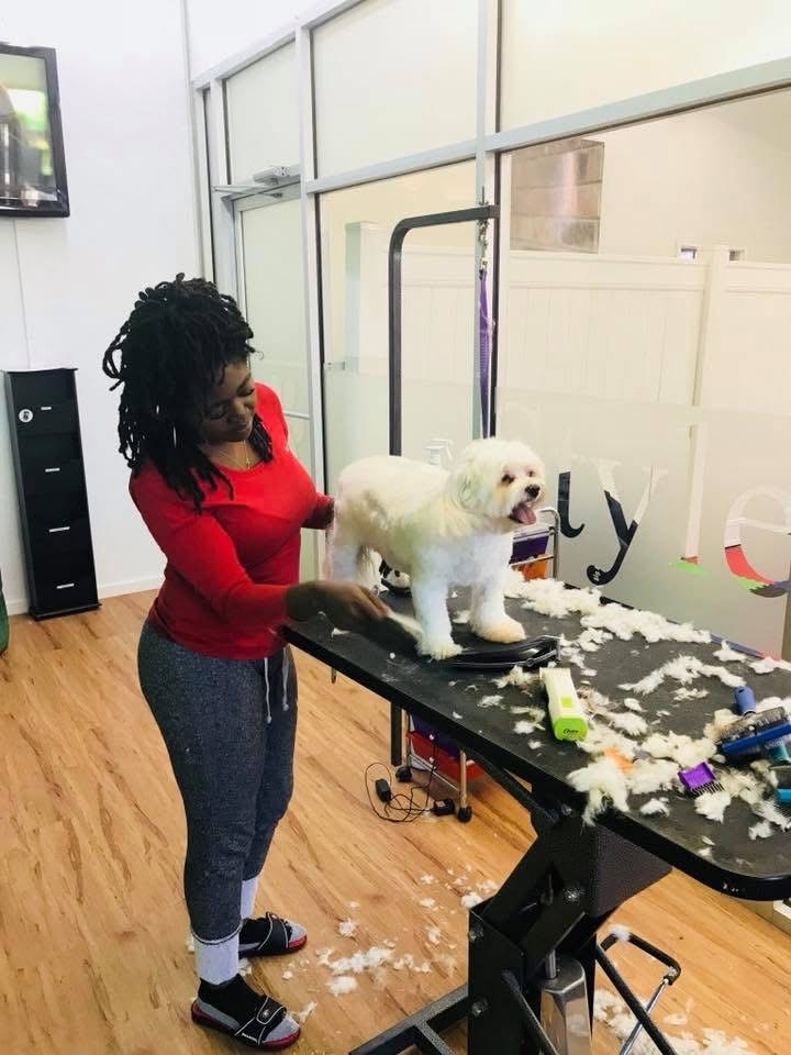 Sarah, Co-Owner & Lead Groomer at Paw Palace of Atlanta